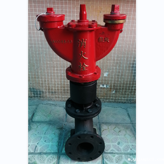 地上消火栓SS100-65-1.6应该放在哪里使用？
